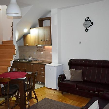 Apartman Jovana ソコバニャ エクステリア 写真
