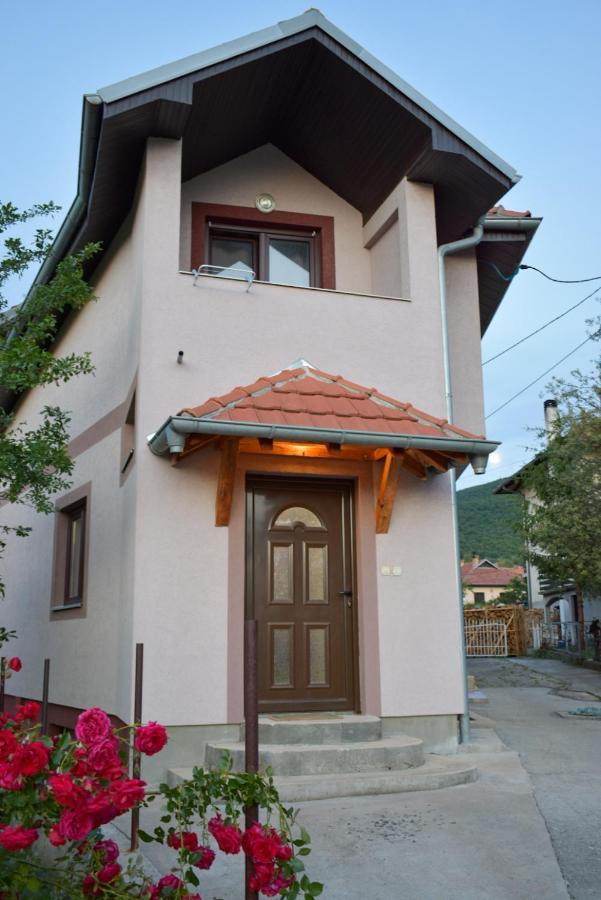 Apartman Jovana ソコバニャ エクステリア 写真