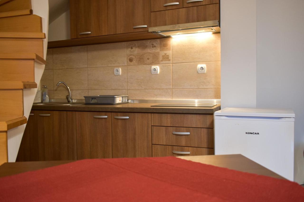 Apartman Jovana ソコバニャ エクステリア 写真