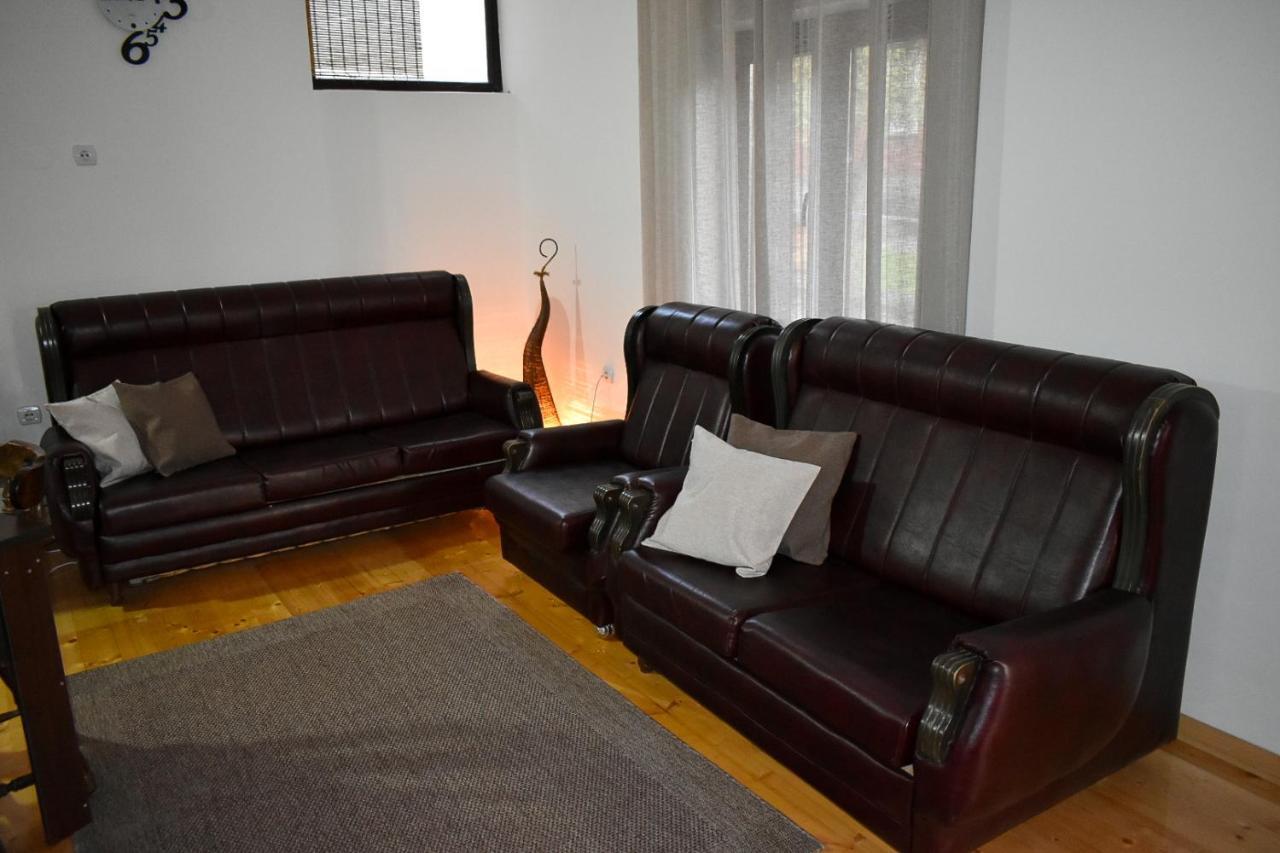 Apartman Jovana ソコバニャ エクステリア 写真